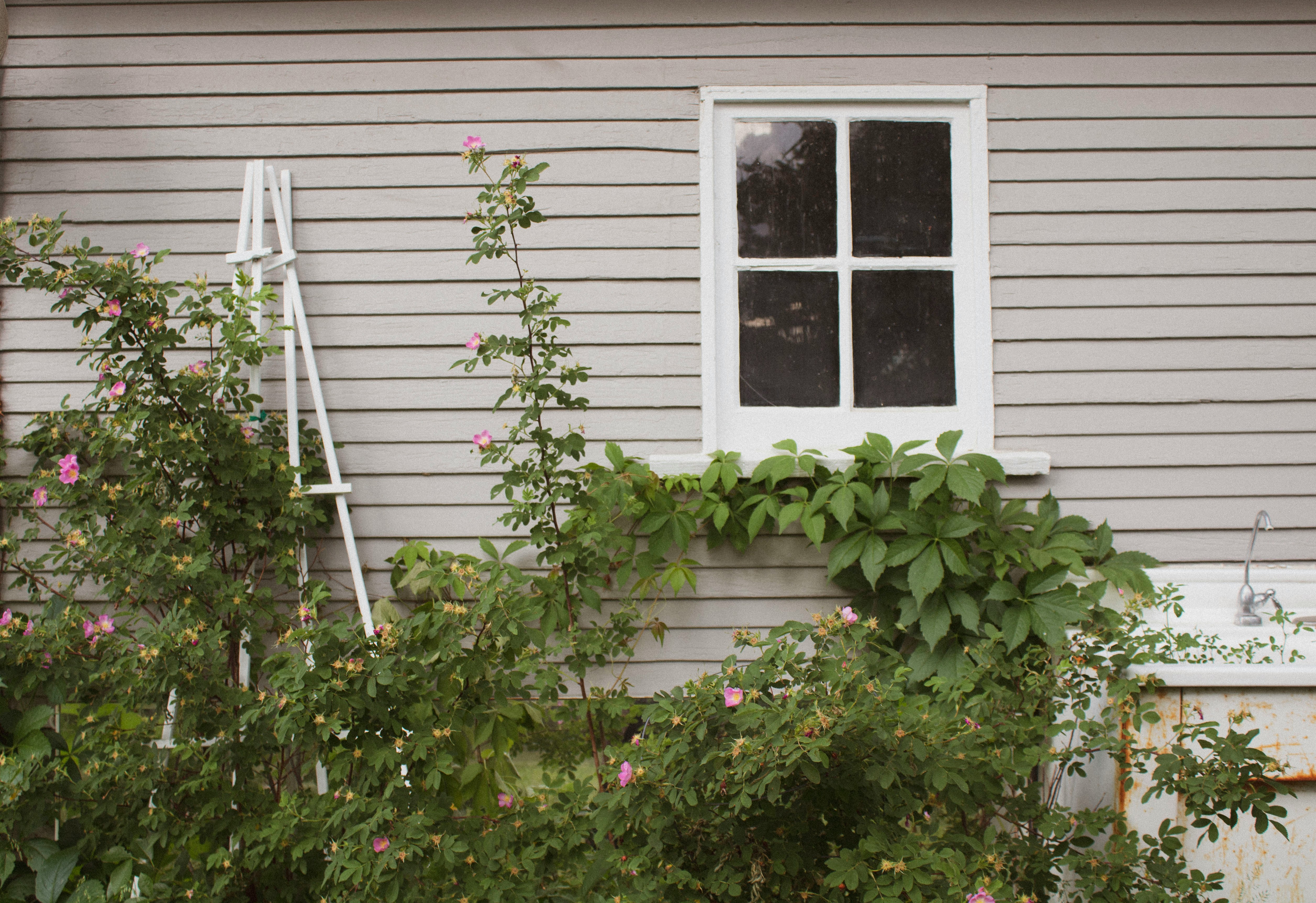 Gray vinyl siding and replacement window on a Virginia home